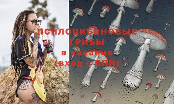 спайс Заволжск