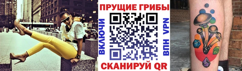 дарнет шоп  Калязин  Псилоцибиновые грибы Magic Shrooms 